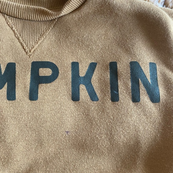 Lauren Conrad Little Co pumpkin sweatshirt in size 24 months - Picture 4 of 6